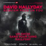 DAVID HALLYDAY